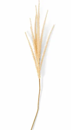 CASA ADDO Vase Crème* Vases