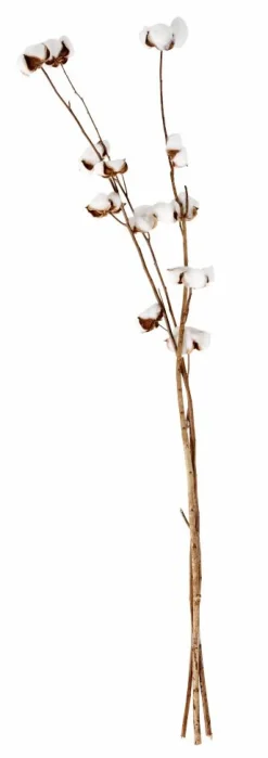 CASA ADDO Vase Crème* Vases