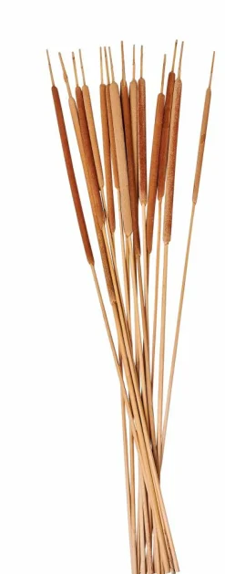 CASA AFRIKA Vase Naturel* Vases