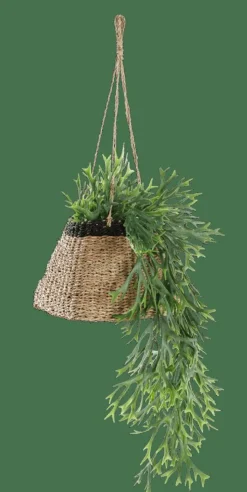 CASA BAKU Pot à Suspendre Noir, Naturel* Porte-Plantes À Suspendre