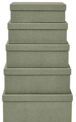 CASA BIGSO Organisateur Tiroir 5 Pièces Menthe* Paniers Tiroirs