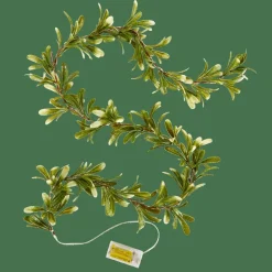 CASA BLATTE Guirlande Lumineuse Vert* Guirlandes Lumineuses
