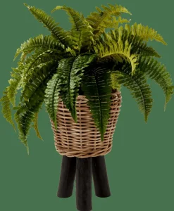 CASA BOSTON Fougère Vert* Plantes Artificielles