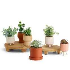 CASA CERA Plante Artificielle Diverses Couleurs* Plantes Artificielles