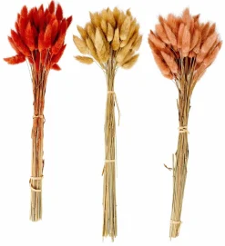 CASA DAMA J Dame-jeanne Brun* Vases