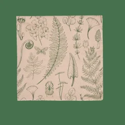 CASA ECO NATURE Set De 20 Serviettes Multicolore* Serviettes