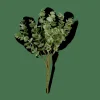 CASA EUCALYPTUS Branche D'eucalyptus Vert* Fleurs Artificielles