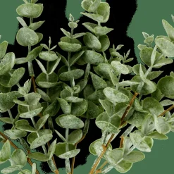 CASA EUCALYPTUS Branche D'eucalyptus Vert* Fleurs Artificielles