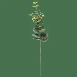 CASA EUCALYPTUS Tige Artificielle Vert* Branches Artificielles