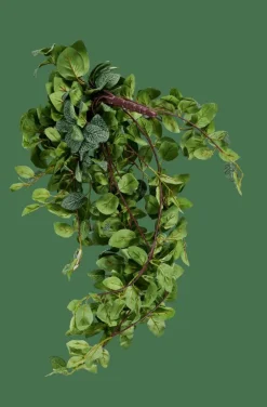 CASA FITTONIA Guirlande Feuilles Vert* Plantes Artificielles|Branches Artificielles