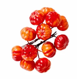 CASA FOAM Branche De Grenadier Rouge* Branches Artificielles