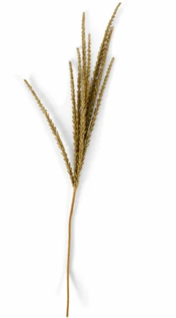 CASA GOLDENROD Tige Blanc* Branches Artificielles