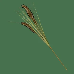 CASA GRASS Hampe De Roseau Vert* Branches Artificielles