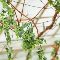 CASA GREEN Boule Buis Vert* Plantes Artificielles