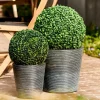 CASA GREEN Boule En Buis Artificielle Vert* Plantes Artificielles
