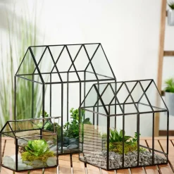 CASA GREENHOUSE Serre Transparent* Supports Pour Plantes