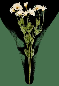 CASA INDI Tige De Fleurs Crème* Fleurs Artificielles|Automne