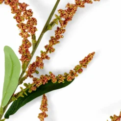 CASA KENDI Vase Orange* Vases