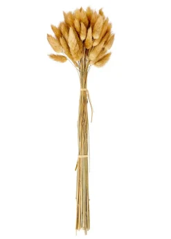 CASA LAGURUS Lagure Ovale Naturel* Fleurs Artificielles