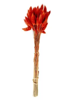 CASA LAGURUS Lagure Ovale Rouge* Fleurs Artificielles