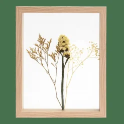 CASA LIMONIUM Décoration Murale Naturel* Decoration Murale