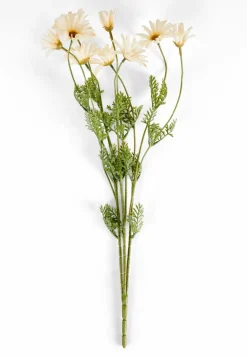 CASA LINDE Vase Beige* Vases