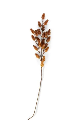 CASA LINDE Vase Brun Clair* Vases