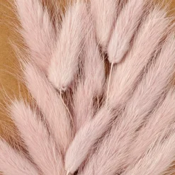 CASA MINA Cloche Avec Déco Séchée Rose* Branches Artificielles