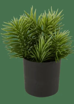 CASA MOHAVE Diverses Couleurs* Plantes Artificielles