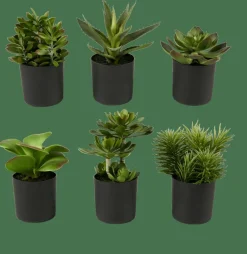CASA MOHAVE Diverses Couleurs* Plantes Artificielles