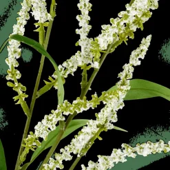 CASA OPHIO Branche Blanc* Branches Artificielles