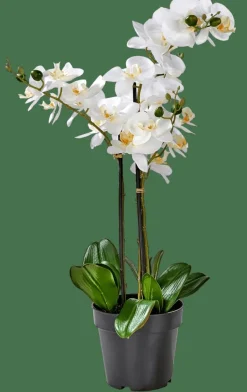 CASA ORCHID Orchidée En Pot Blanc* Plantes Artificielles