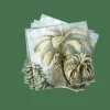 CASA PALMEN Set De 20 Serviettes Vert* Serviettes