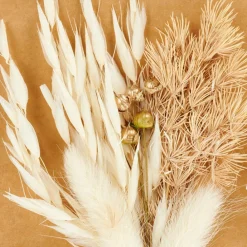 CASA PAMPLONA Vase Crème* Vases