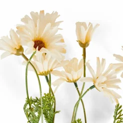 CASA PAMPLONA Vase Crème* Vases