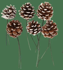 CASA PINECONE Pommes De Pin Set De 6 2 Couleurs Blanc, Argent* Automne
