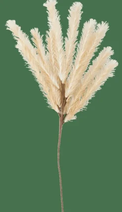CASA PLUME Plume Artificielle Beige* Branches Artificielles