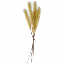 CASA PLUME Plumes Décoratives Brun Clair* Branches Artificielles