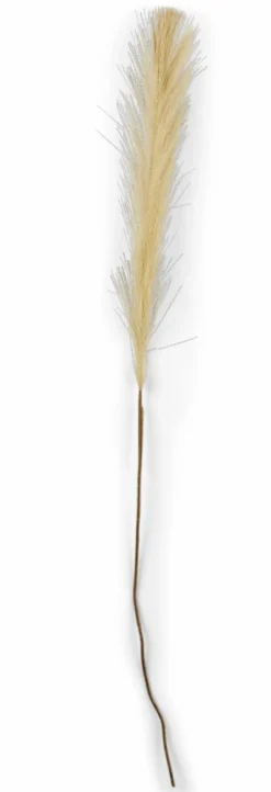 CASA PLUME Plumes Décoratives Brun Clair* Branches Artificielles