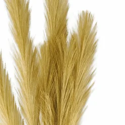 CASA PLUME Plumes Décoratives Brun Clair* Branches Artificielles