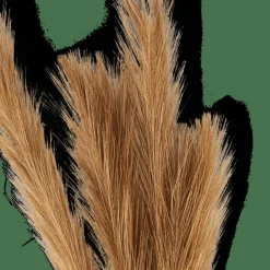 CASA PLUME Plumes Décoratives Brun* Branches Artificielles