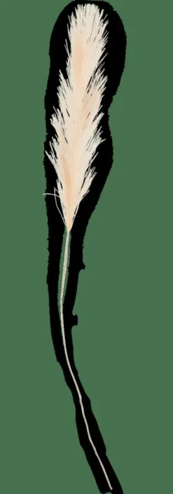 CASA PLUME Plumes Décoratives Crème* Branches Artificielles