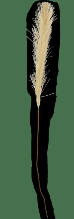 CASA PLUME Plumes Décoratives Vert* Branches Artificielles