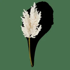 CASA PLUME Tige Blanc Cassé* Branches Artificielles