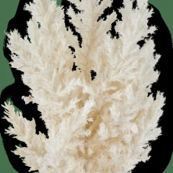 CASA PLUME Tige Blanc Cassé* Branches Artificielles