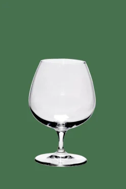 CASA PREMIUM Verre à Cognac 64 CL* Verres À Cocktail