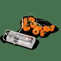 CASA PUMPKIN Guirlande Lumineuse Orange* Halloween|Automne