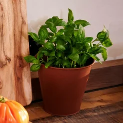 CASA RUSTY Pot De Fleurs Brun* Pots De Fleurs