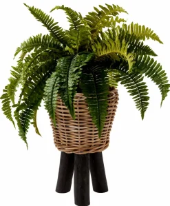 CASA STALLE Porte-plante Noir* Supports Pour Plantes