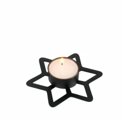 CASA STAR Décoration Séchée* Fleurs Artificielles